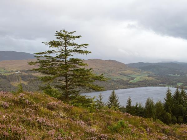 Walk The Great Glen Way, self guided 