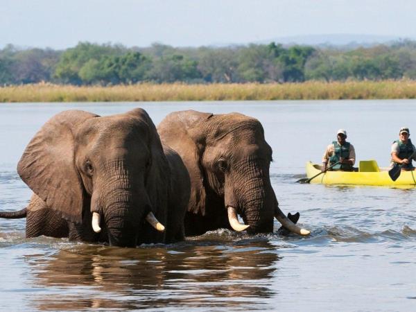 Zimbabwe canoe safari