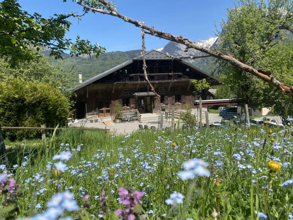 French Alps family activity holiday for teenagers
