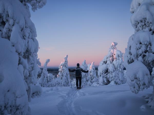 New Year in Sweden holiday | Responsible Travel