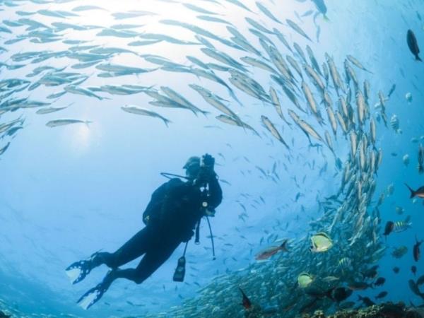 Galapagos diving tour
