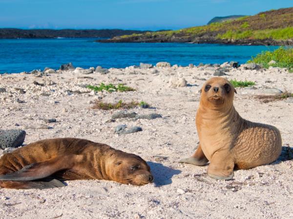 Ecuador and Galapagos family holiday