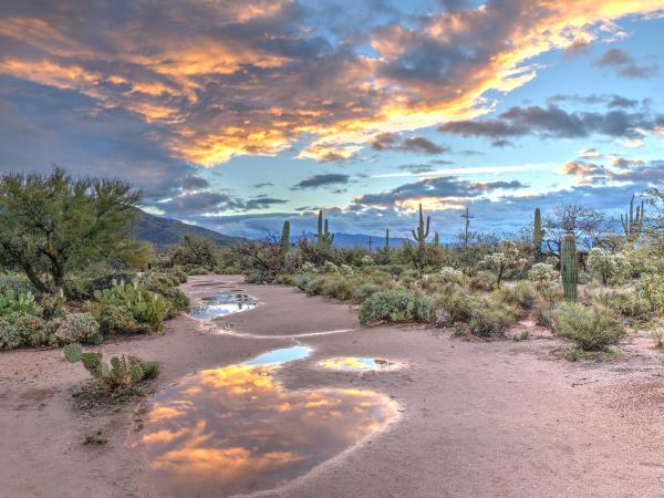 Arizona self drive holiday, USA