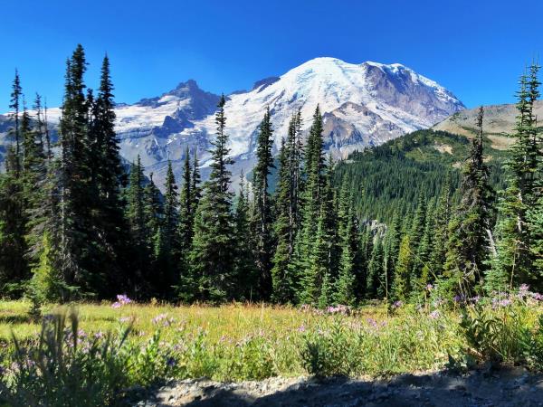 Best of Washington holiday, USA