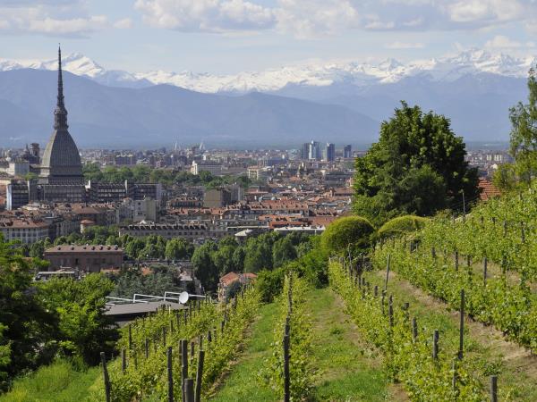 Piedmont holiday in Italy, food, wine & culture