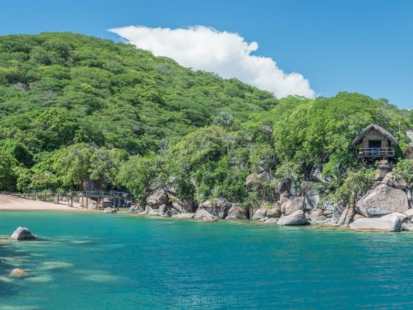 Malawi wildlife and nature tour