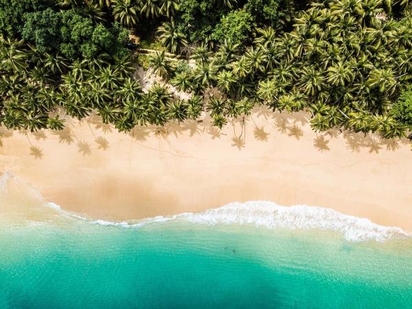 Sao Tome and Principe holidays & tours in 2025 & 2026 | Responsible Travel
