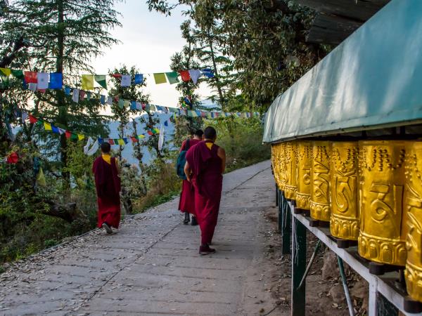 Trekking in the Indian Himalayas