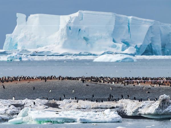 Antarctica semi-circumnavigation cruise