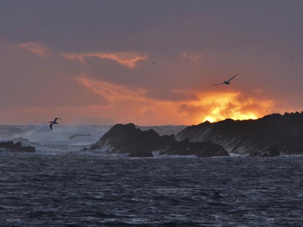 Orkney, Fair Isle & Shetland sailing holiday