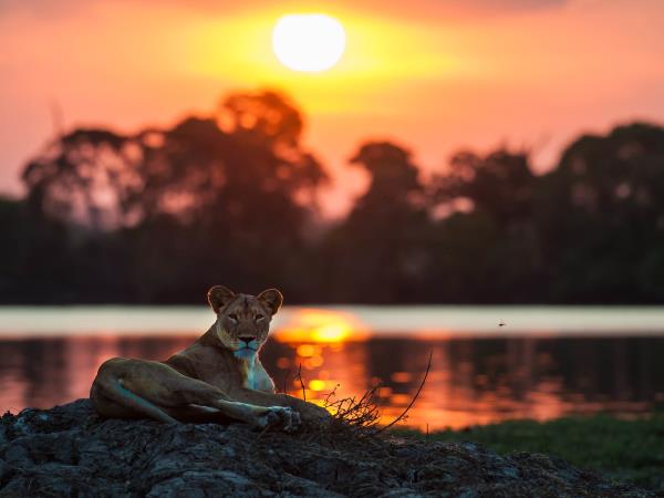 Zambia holidays & tours in 2025 & 2026 | Responsible Travel