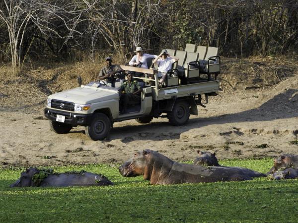 Zambia tailor made safari