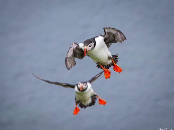 Photography holidays in 2025 & 2026 | Responsible Travel