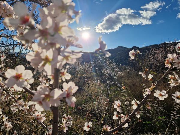 Spain walking holiday, Walking in blossom