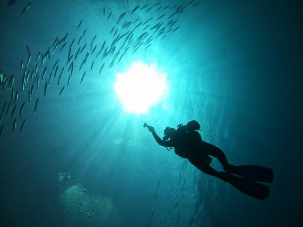 Red Sea diving holidays 