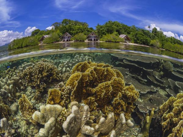 Halmahera snorkeling holiday in Indonesia