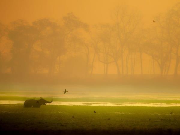 East India national parks wildlife tour 