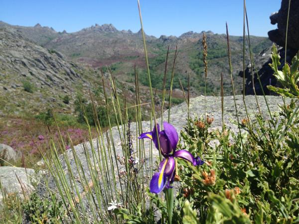 Peneda Geres National Park self guided walking holiday