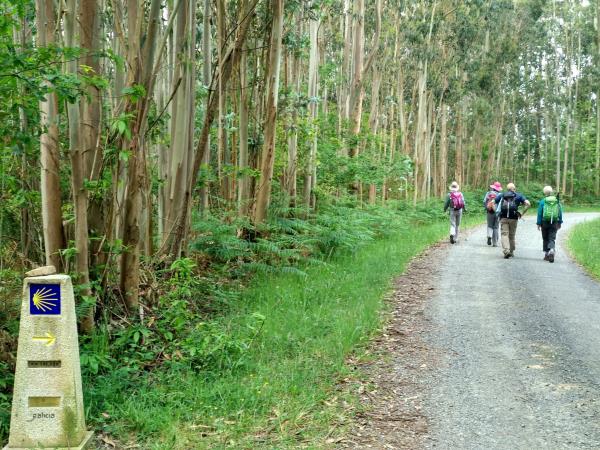 Walk the Camino French Way from León