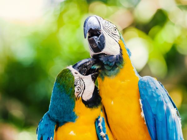 Colombia family adventure holiday