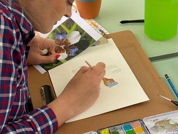 Botanical painting & yoga holiday, Portugal