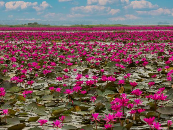 Unusual Thailand 8 day tour 