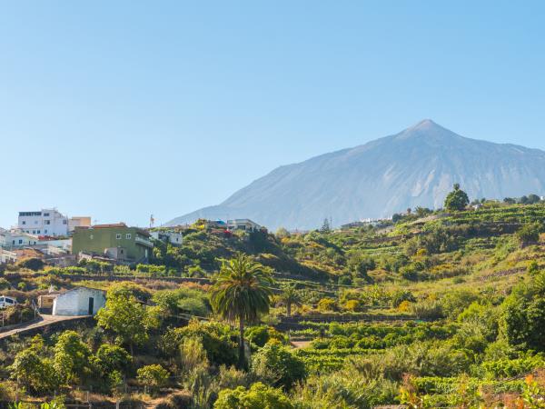 Tenerife culture & nature holiday