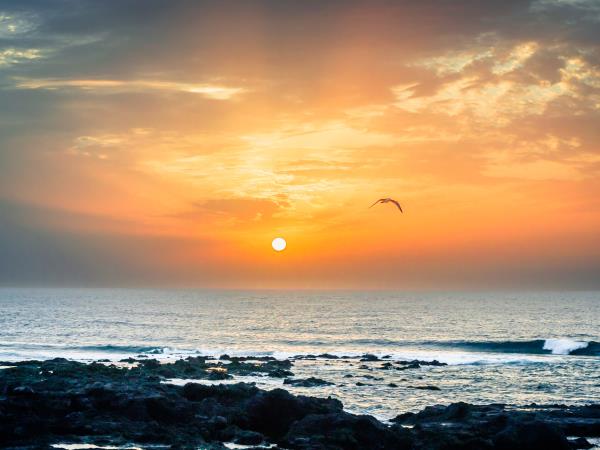 Tenerife holiday with Spanish lessons