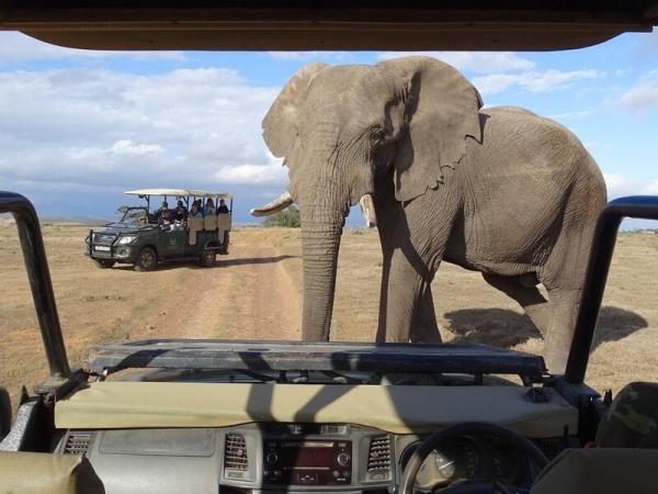 South Africa Garden Route self drive adventure