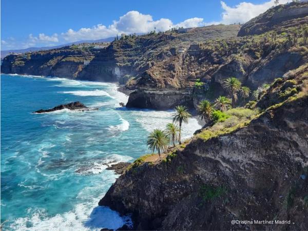 Learn Spanish and yoga in Tenerife