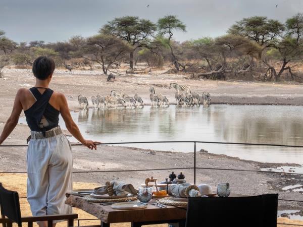 Namibia self drive holiday, big cat conservation