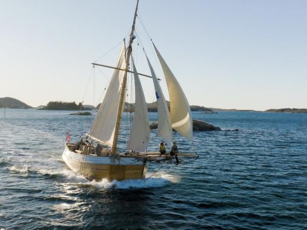 Whale watching sailing holiday, Norway