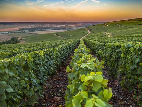 Champagne cycling short break, France