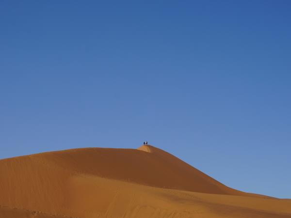 Namibia fly and drive safari