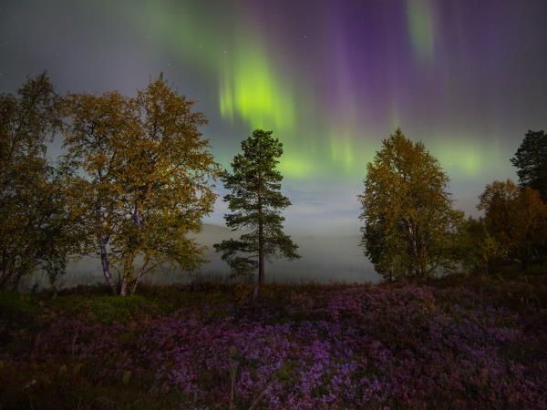 Autumn lights tailor made holiday, Finland