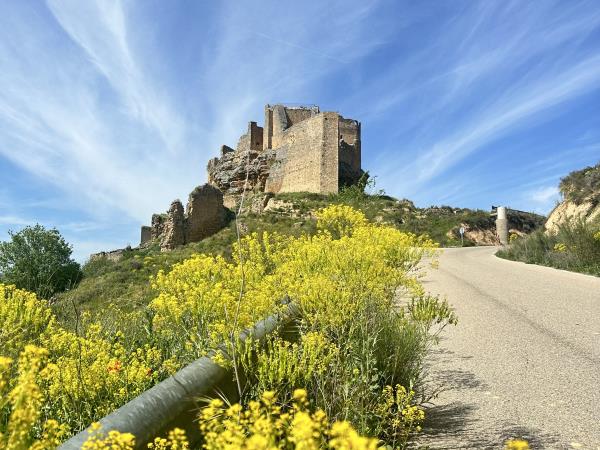 Food and nature holiday in Spain, small group