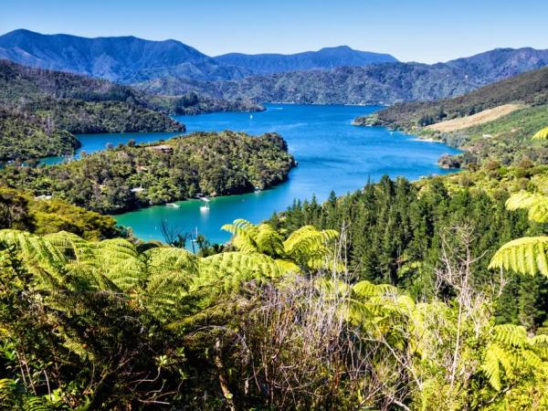Queen Charlotte Track walking holiday