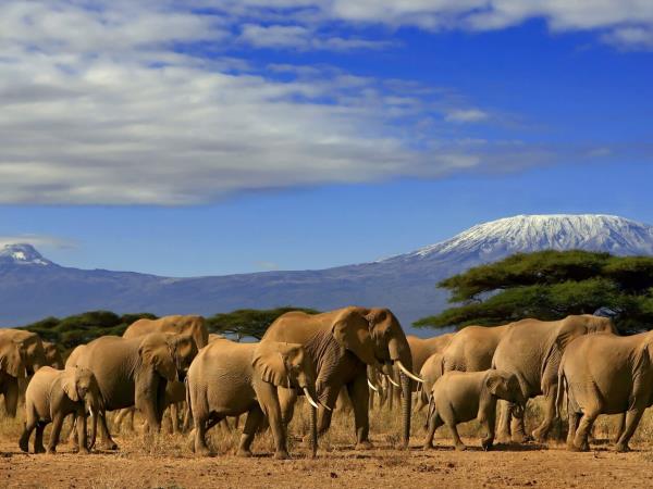Kilimanjaro Rongai Route small group holiday