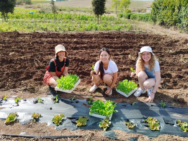 Sustainable farming holiday in Italy