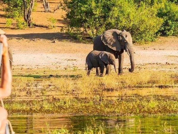 Botswana value safari with Victoria Falls