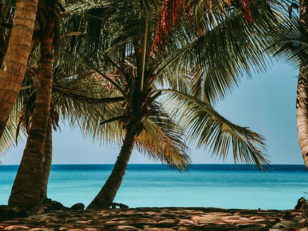 Madagascar to Zanzibar sailing expedition