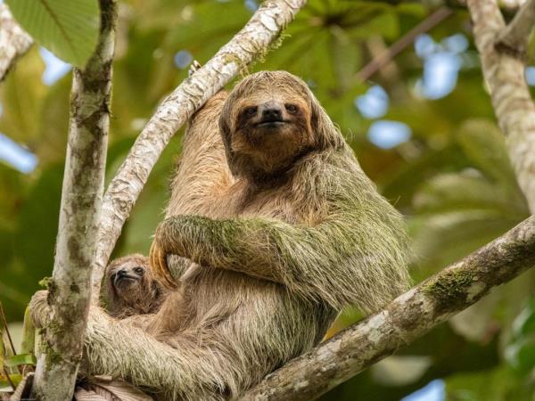 Costa Rica holiday, coast to coast