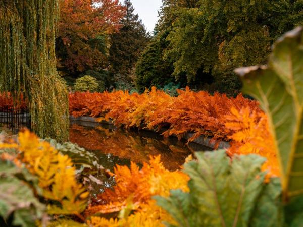 Autumn holiday in Scandinavia, Nordic colours