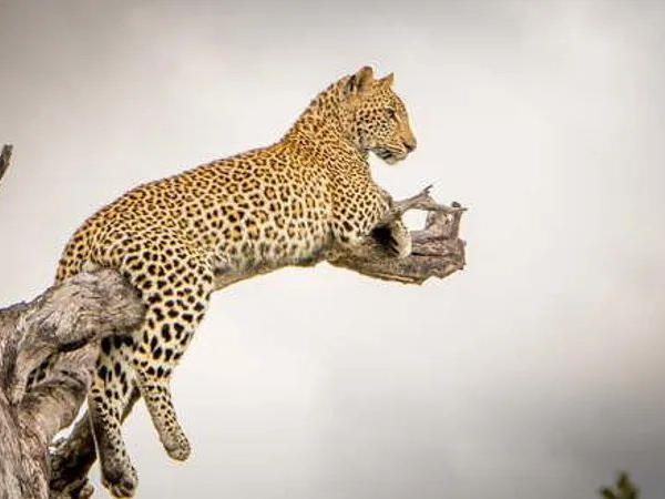 Cape Town, Kruger and Victoria Falls holiday, South Africa