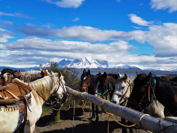 Chile 2 week holiday