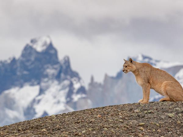 Chilean Patagonia holiday, tailor made