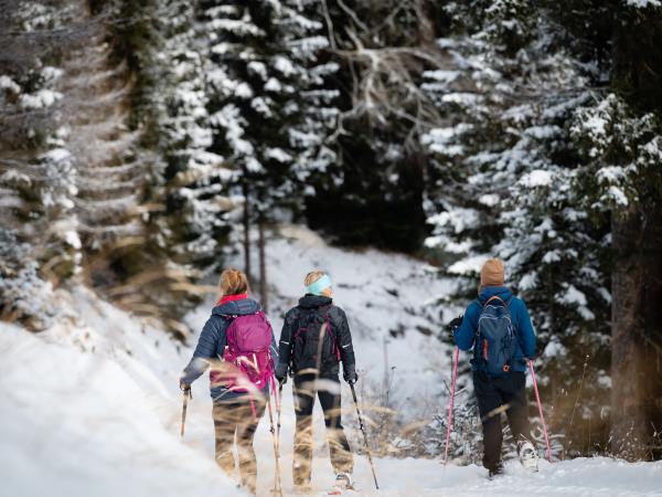 Winter activity and yoga holiday in Austria