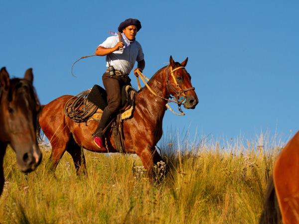 Luxury Argentina holiday, tailormade