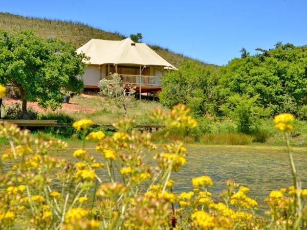 Cape Town and wine region highlights, South Africa