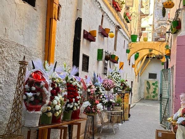 Private Morocco highlights, tailor made